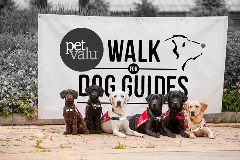 Oakville Petdog Guide Fundrising For People With Disabilities